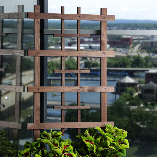 Arlmont & Co. Kosylaya 48 in. x 24 in. WalnutTone Cape Town Trellis